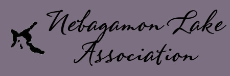 Nebagamon Lake Association